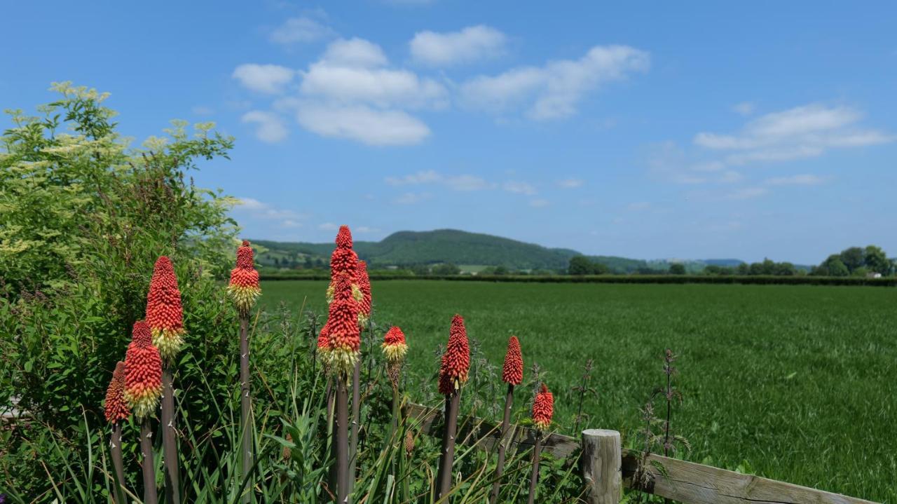 Country Cottage With Far Reaching Views Presteigne Экстерьер фото