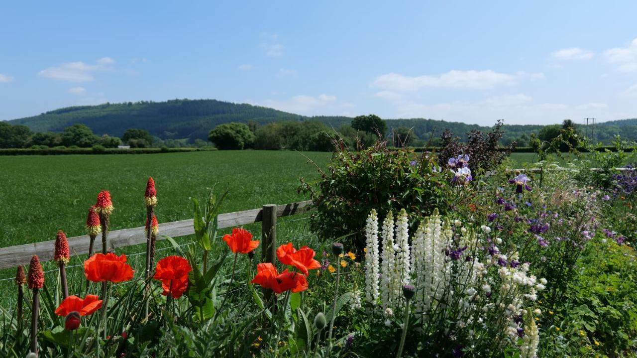 Country Cottage With Far Reaching Views Presteigne Экстерьер фото
